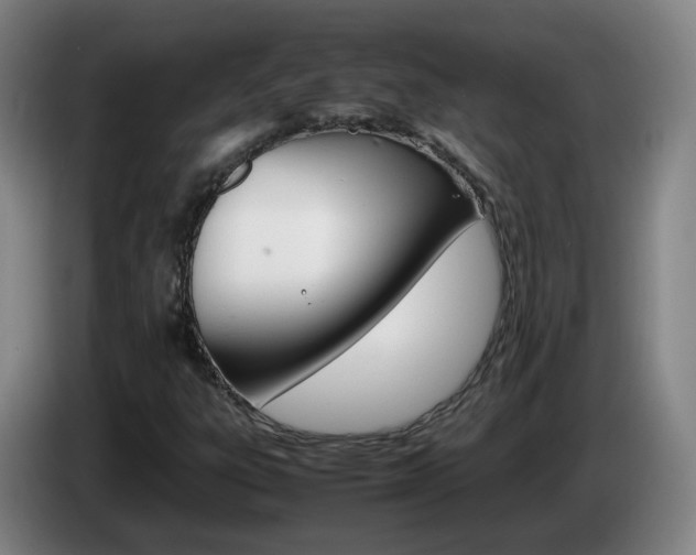 X0000085271303200703090907