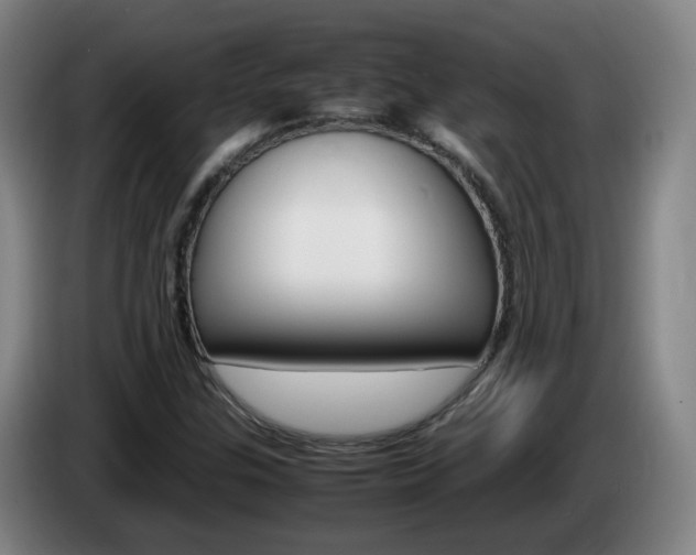 X0000085271307200703090907