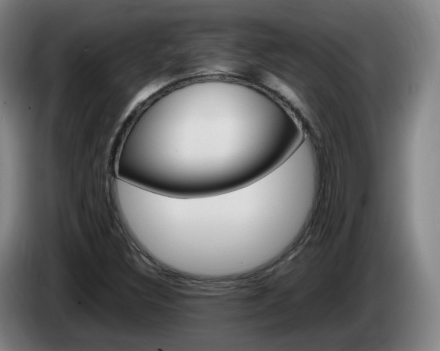 X0000085271308200703090907