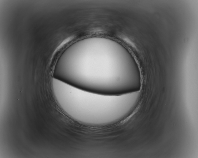X0000085271309200703090907