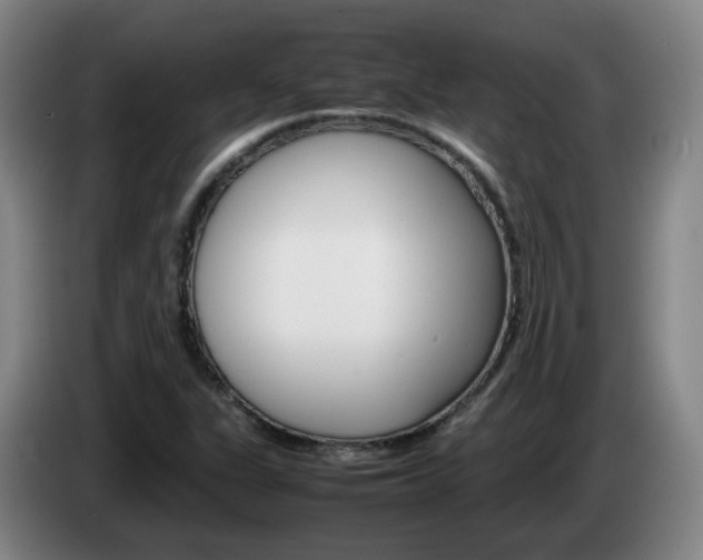 X0000085271311200703090907