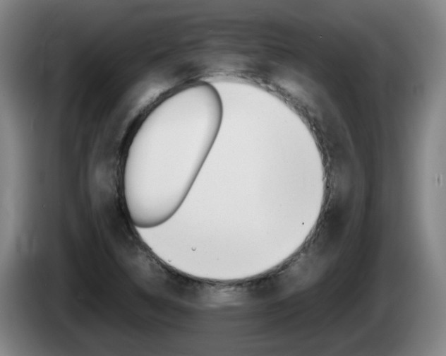 X0000085271314200703090907