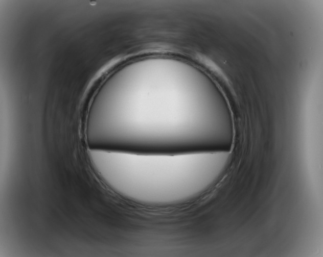 X0000085271318200703090907