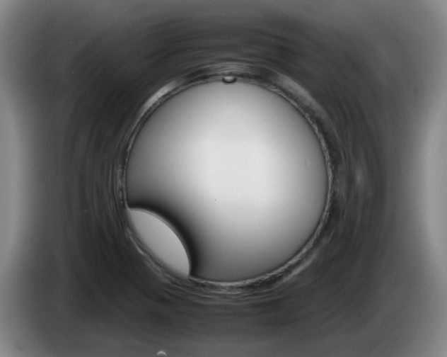 X0000085271321200703090907