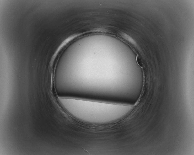 X0000085271323200703090907