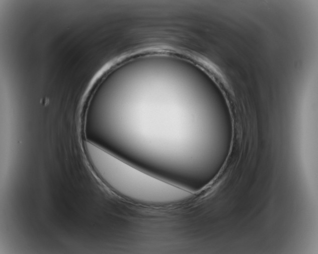 X0000085271326200703090907