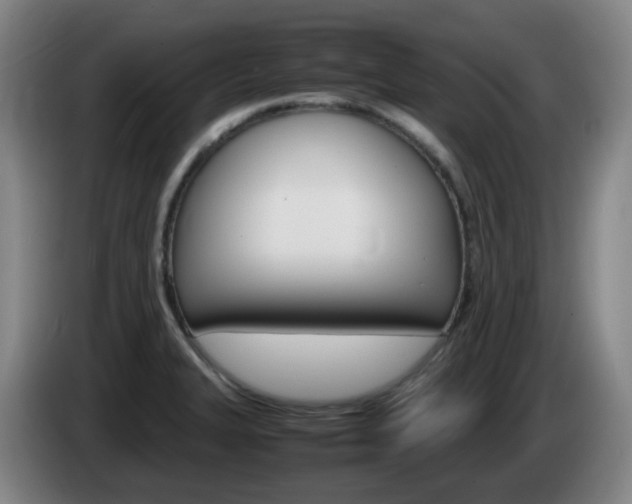X0000085271327200703090907