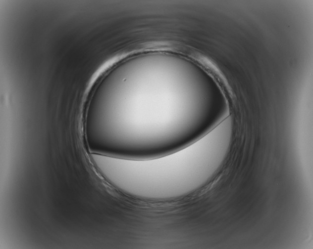 X0000085271328200703090907