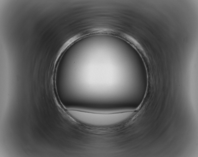 X0000085271330200703090907