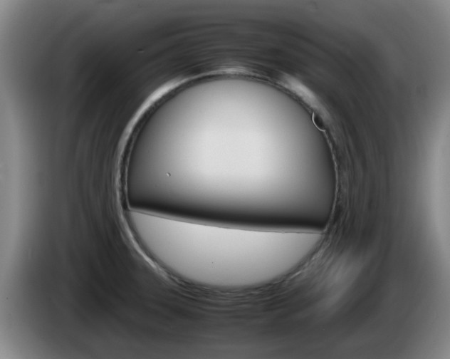 X0000085271331200703090907