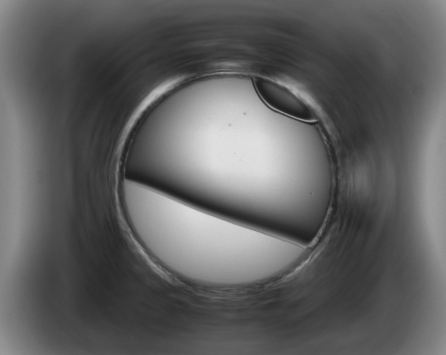 X0000085271333200703090907