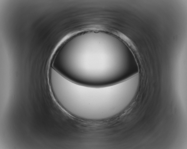 X0000085271334200703090907