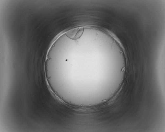 X0000085271338200703090908