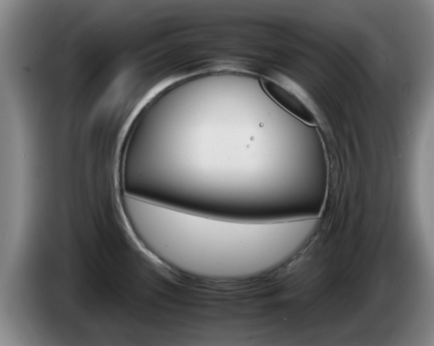 X0000085271339200703090908