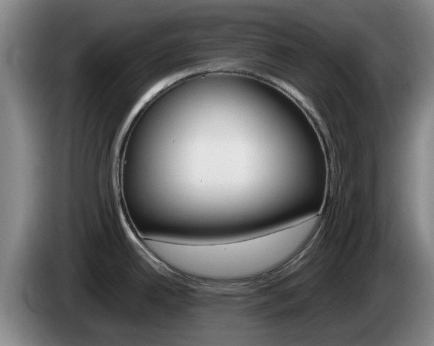X0000085271342200703090908