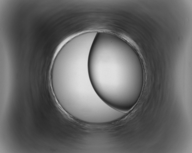 X0000085271344200703090908