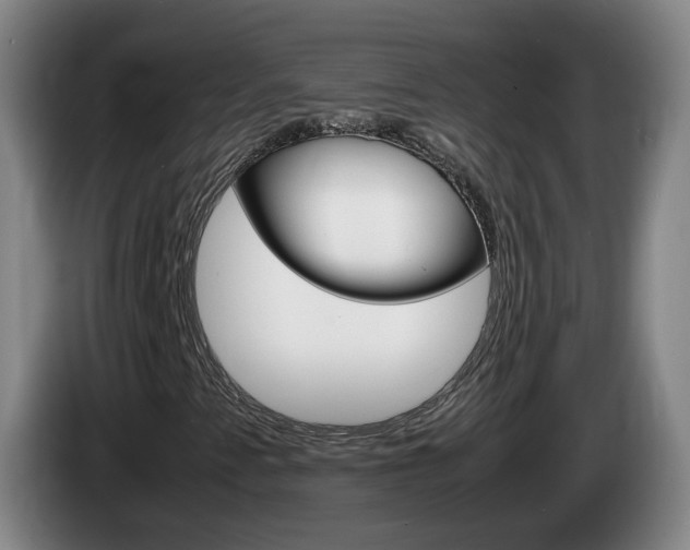 X0000085271345200703090907