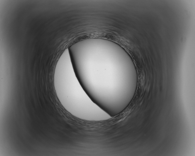 X0000085271346200703090907