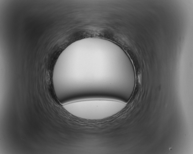 X0000085271347200703090907