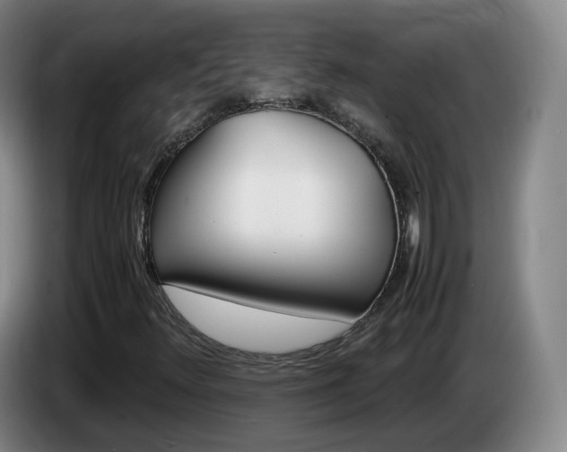 X0000085271348200703090907