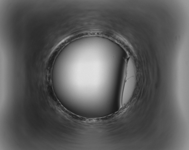 X0000085271352200703090907