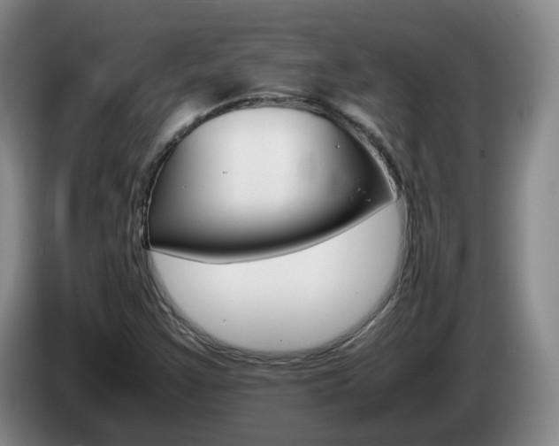 X0000085271355200703090907