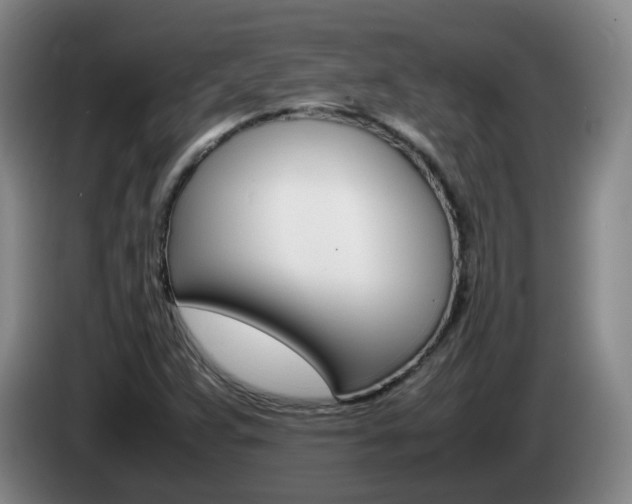 X0000085271359200703090907