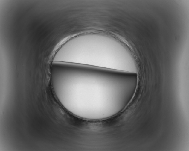 X0000085271363200703090907
