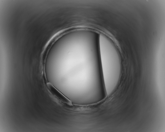 X0000085271368200703090907