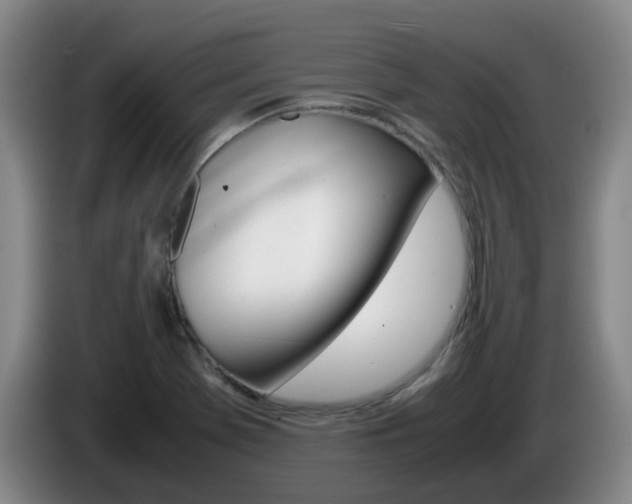 X0000085271369200703090907