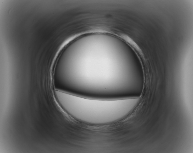 X0000085271380200703090906
