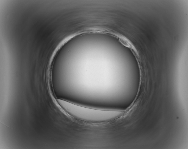 X0000085271381200703090906