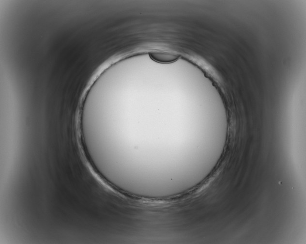 X0000085271382200703090906
