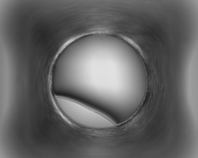 X0000085271383200703090906