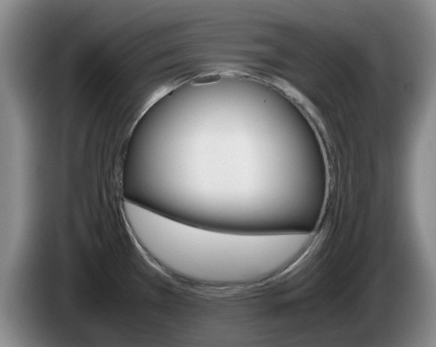 X0000085271385200703090906