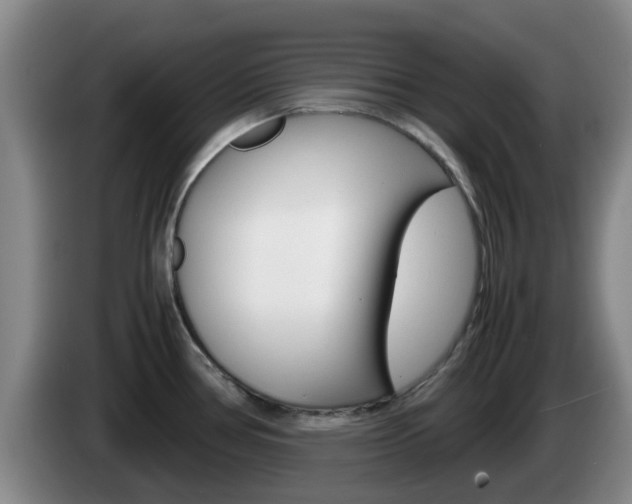 X0000085271386200703090906