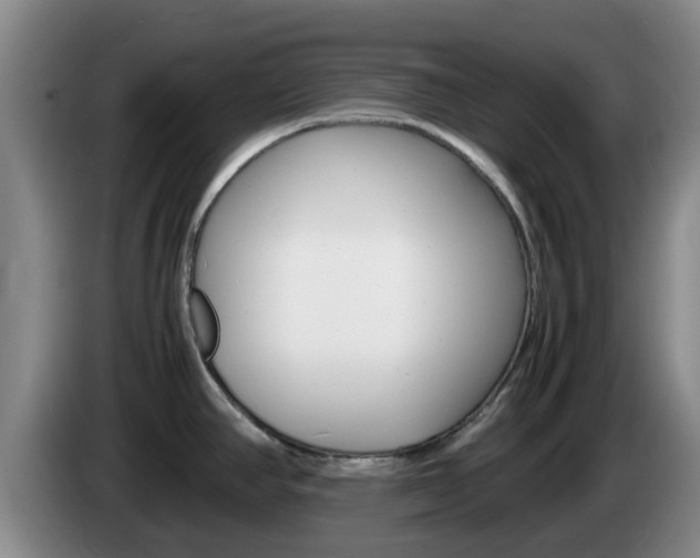 X0000085271390200703090906