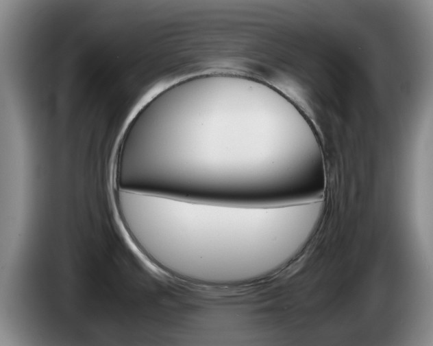 X0000085271391200703090906