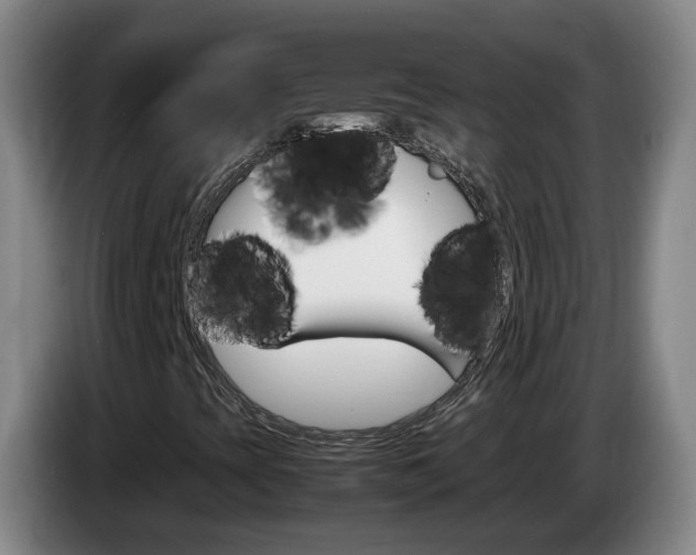 X0000085271393200703090906