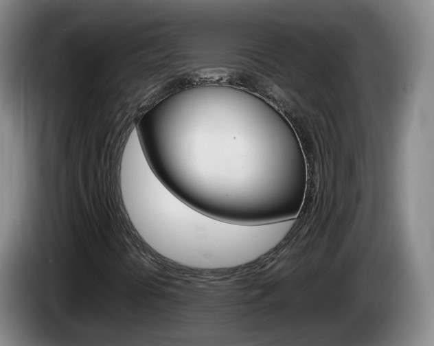X0000085271394200703090906