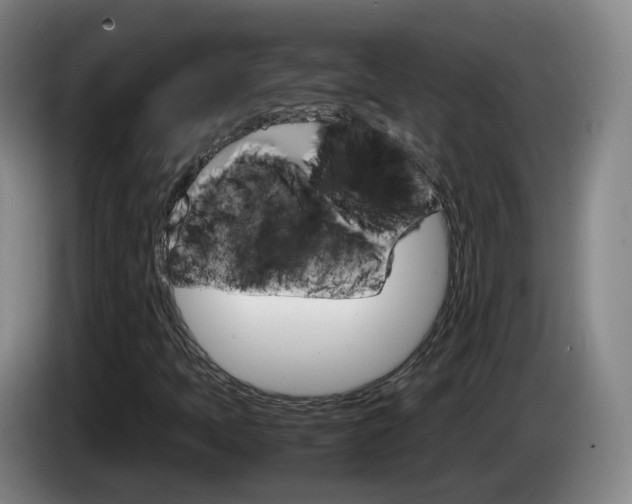 X0000085271397200703090906