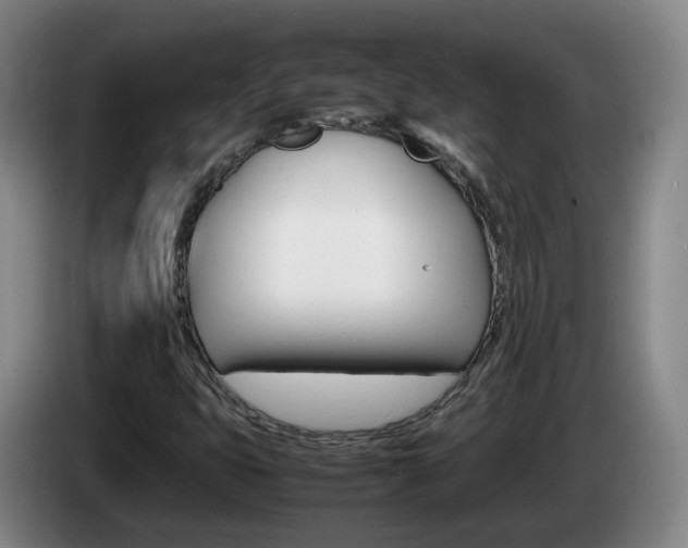X0000085271399200703090906