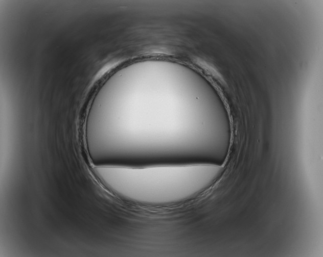 X0000085271404200703090906