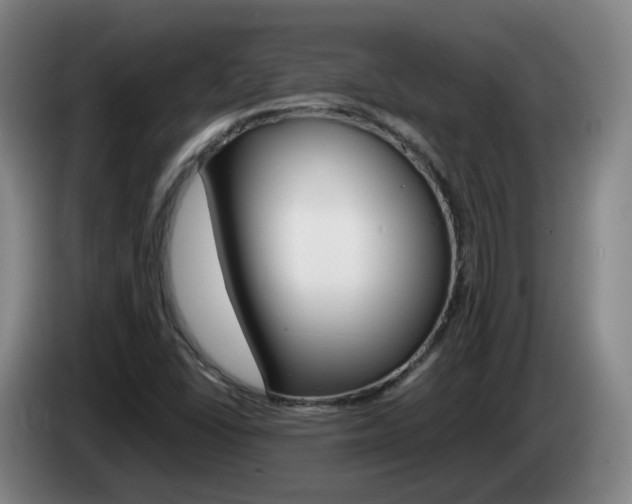 X0000085271406200703090906