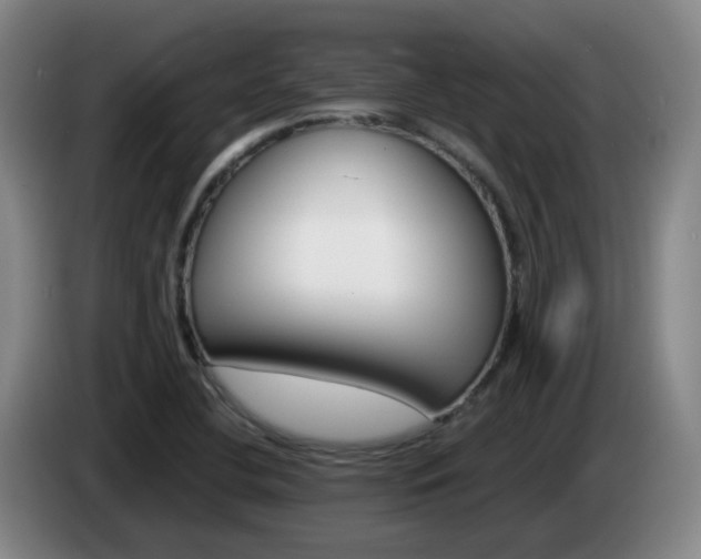 X0000085271412200703090906