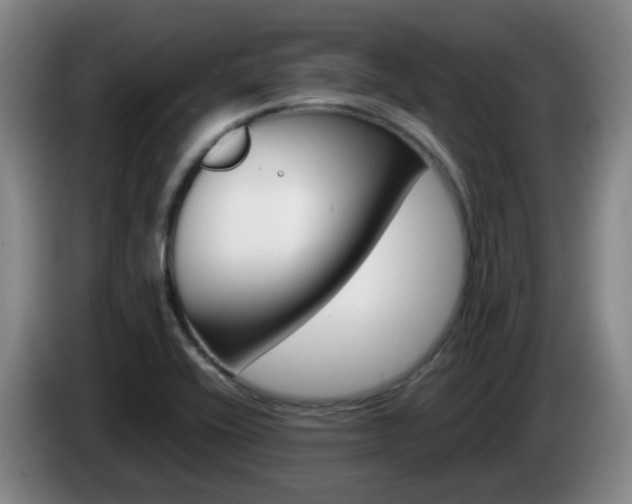 X0000085271416200703090906