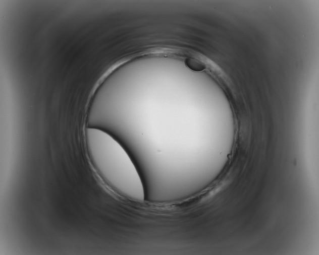 X0000085271417200703090906