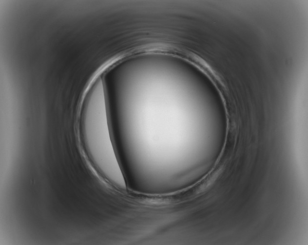 X0000085271418200703090906