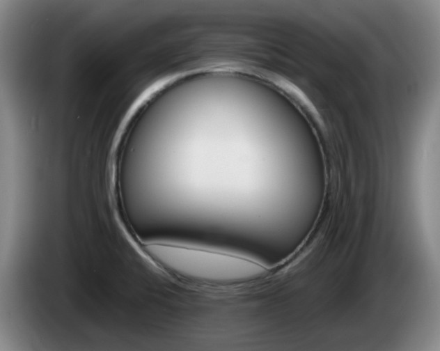 X0000085271424200703090906