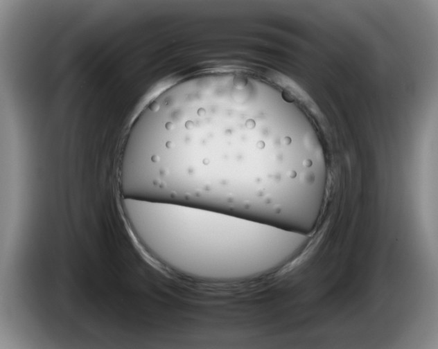 X0000085271425200703090906